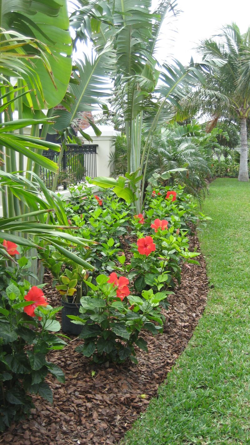 Tropical Outdoor Garden Ideas Full-Sun