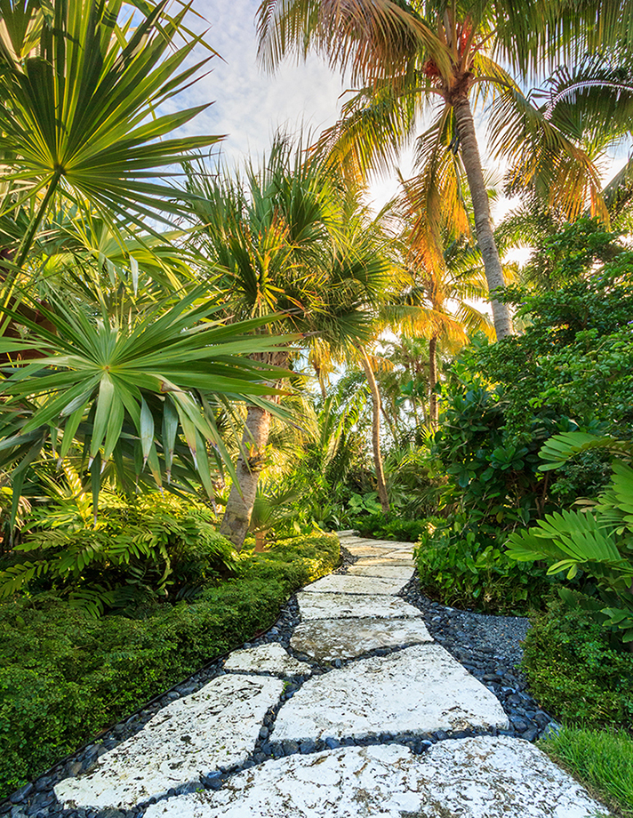 Tropical Outdoor Garden Path Design