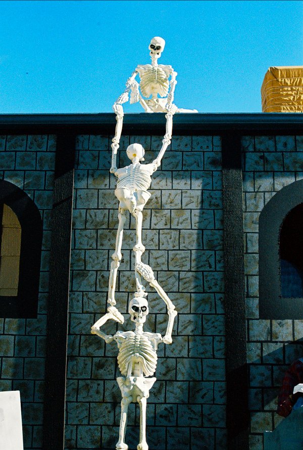 Cool Skeleton Halloween Decorations Ideas