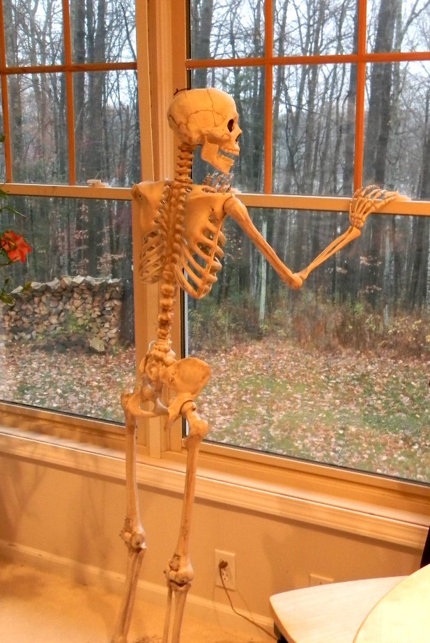 Cute Curious Skeleton Halloween Decorations
