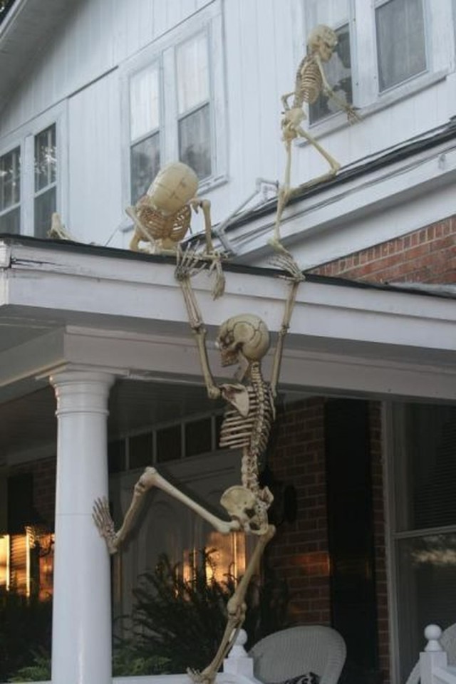 The Best House Halloween Decorations