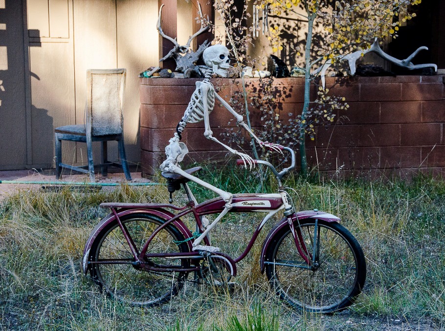 very creative Skeleton Halloween Decorations