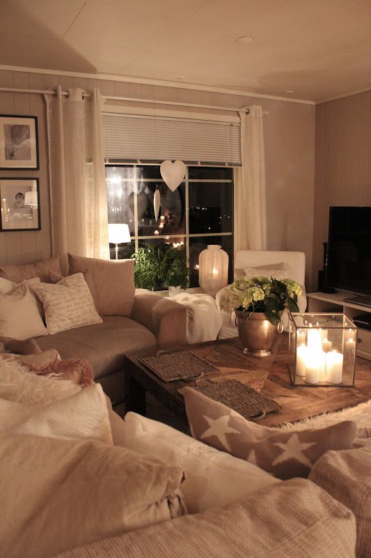 Cozy Living Room Ideas 2016