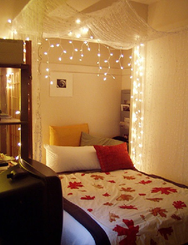DIY Bed Canopy with Lights