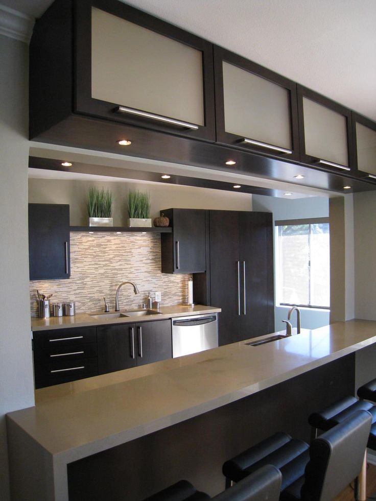 Modern Kitchens with Dark Cabinets