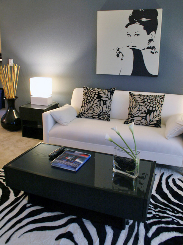 Zebra Print Rug Living Room Ideas