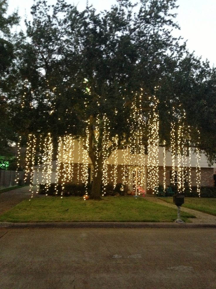 Amazing Christmas Lights Outdoor