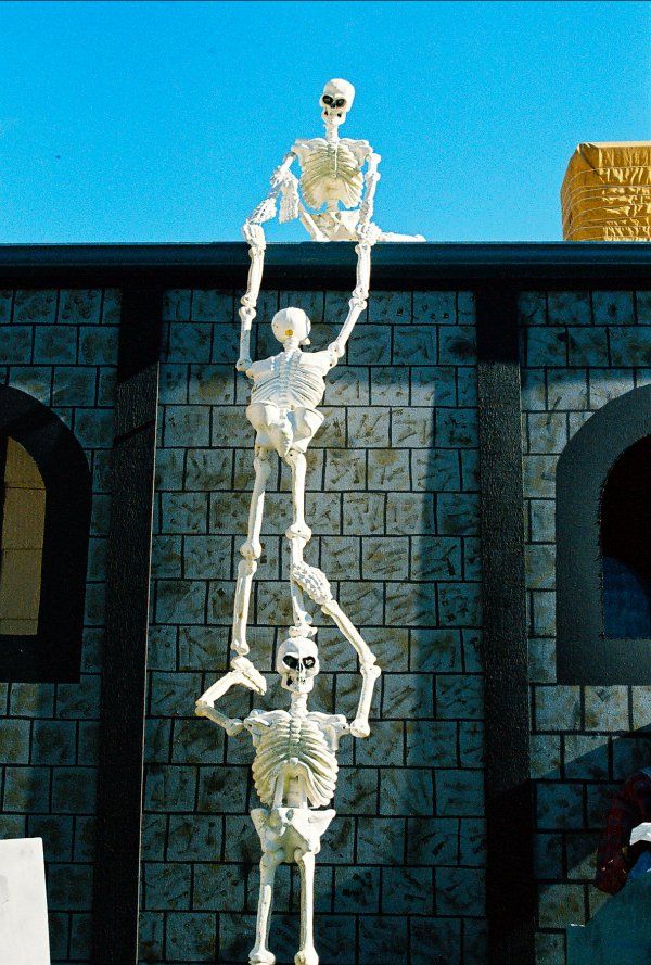 Awesome Skeletons Outdoor Halloween Decorations