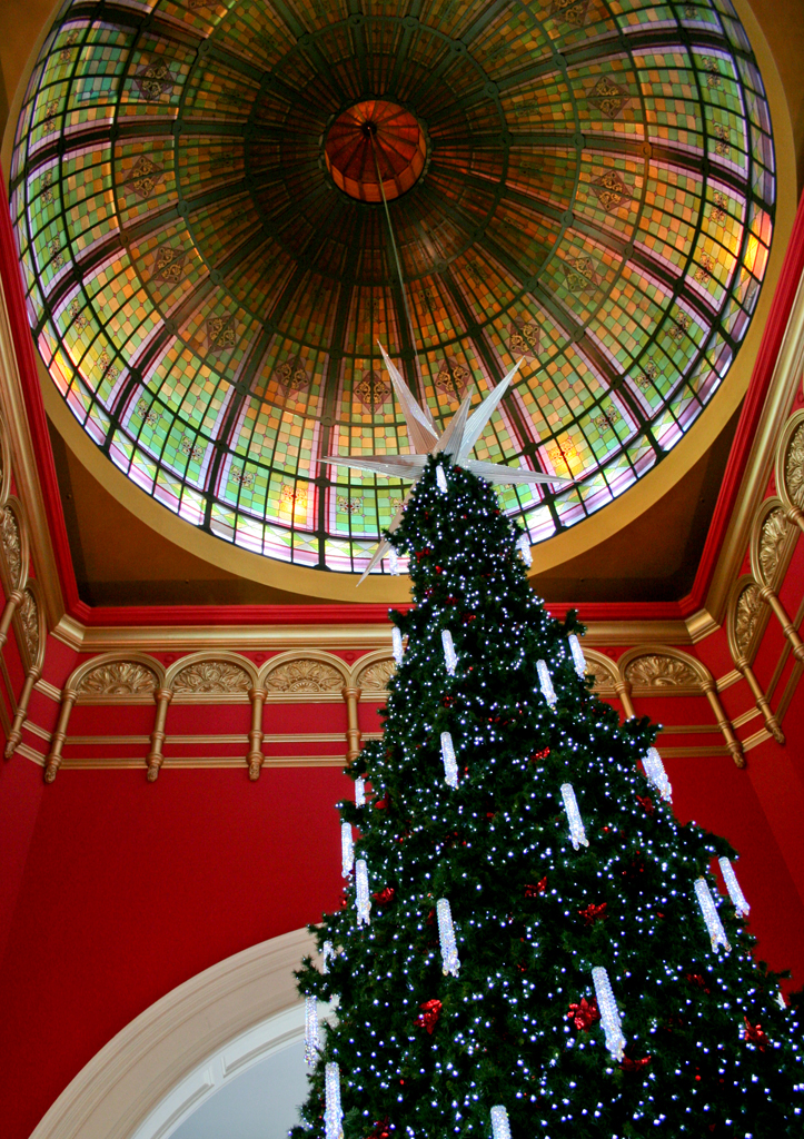 Christmas Tree Queen Victoria Building Sydney
