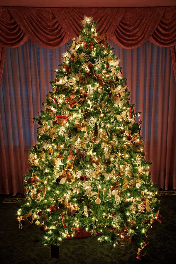 Decorated Christmas Tree 2016