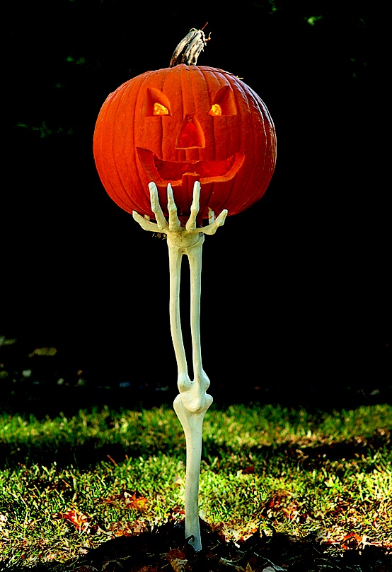 Halloween Pumpkin Stand Ideas