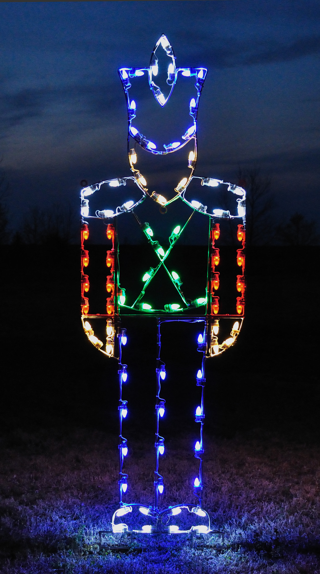 Outdoor Christmas Light Display