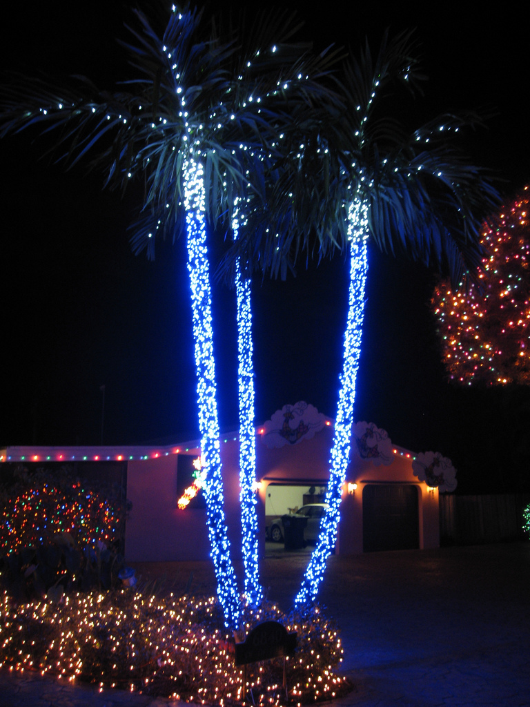 Outdoor Christmas Lights Decoration