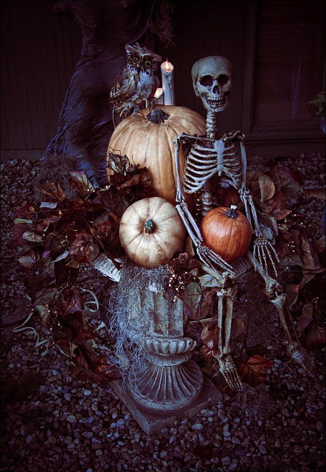 Outdoor Halloween Decoration Skeleton Ideas