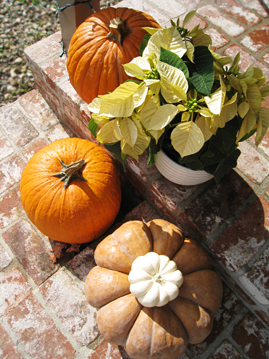 Pumpkin Thanksgiving Decorations Outdoor