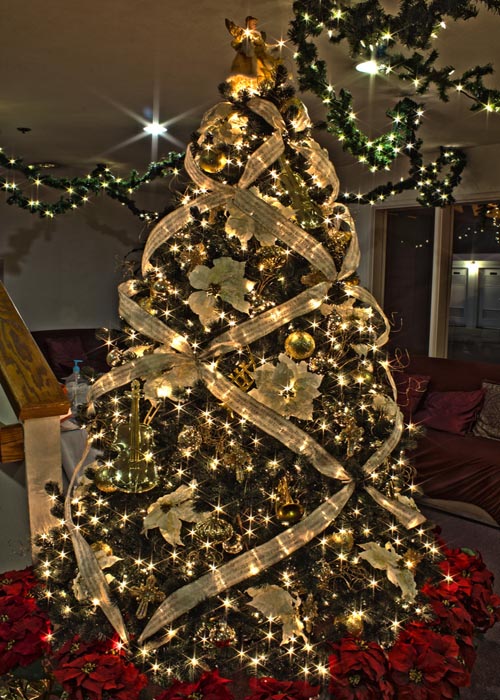 Stunning Christmas Tree Decorating Ideas