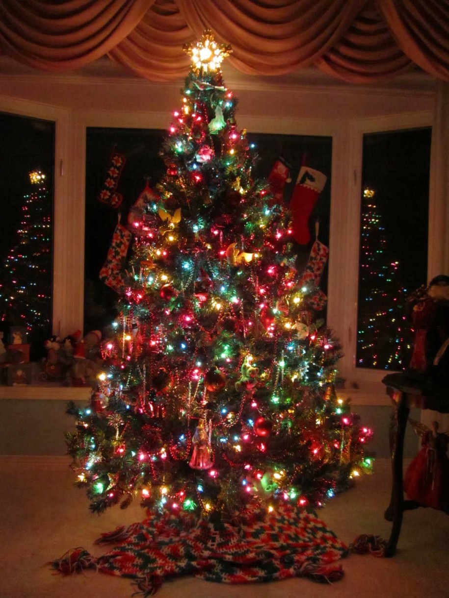 Traditional Christmas Tree 2016