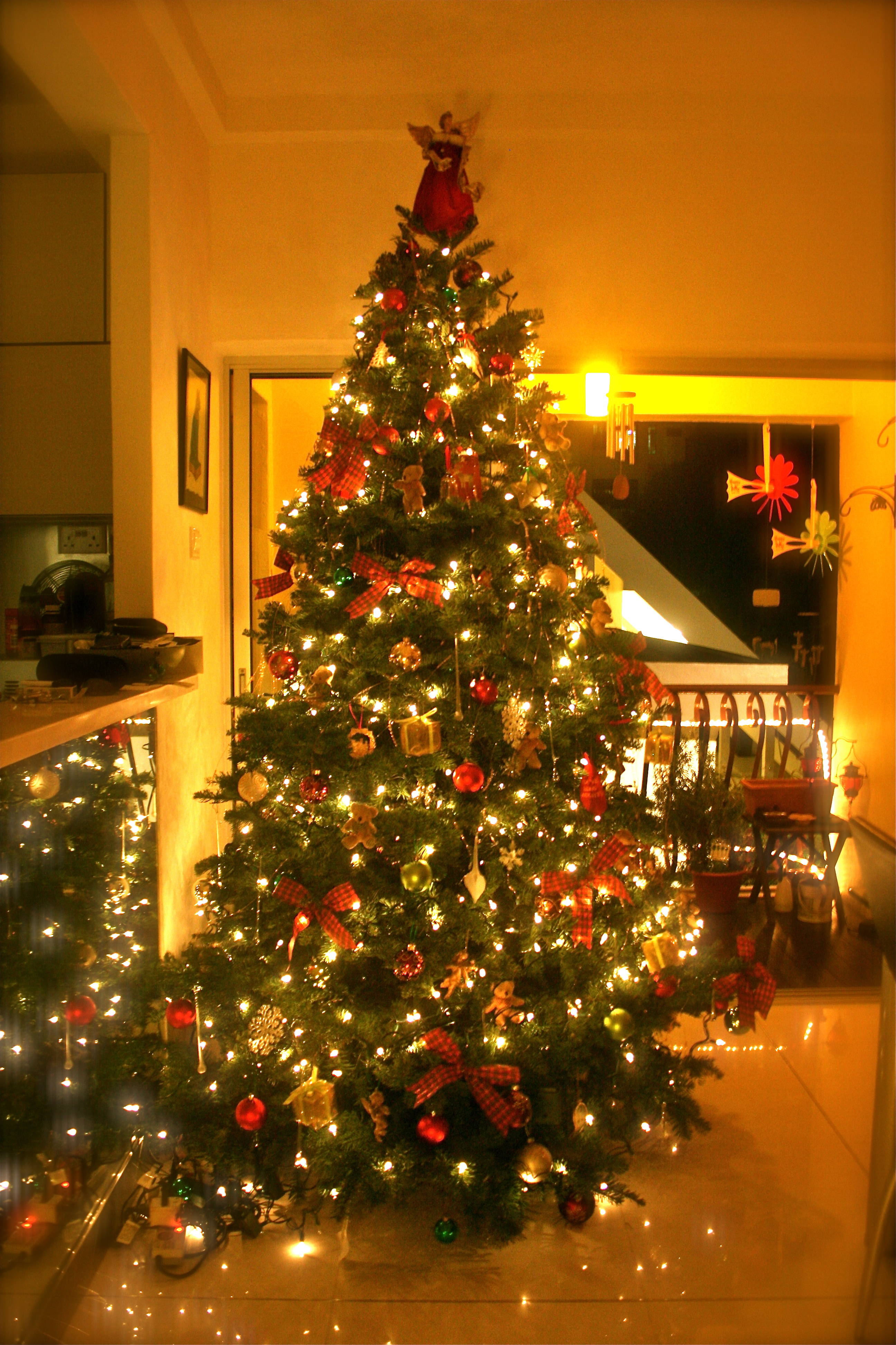 Pretty Christmas Trees