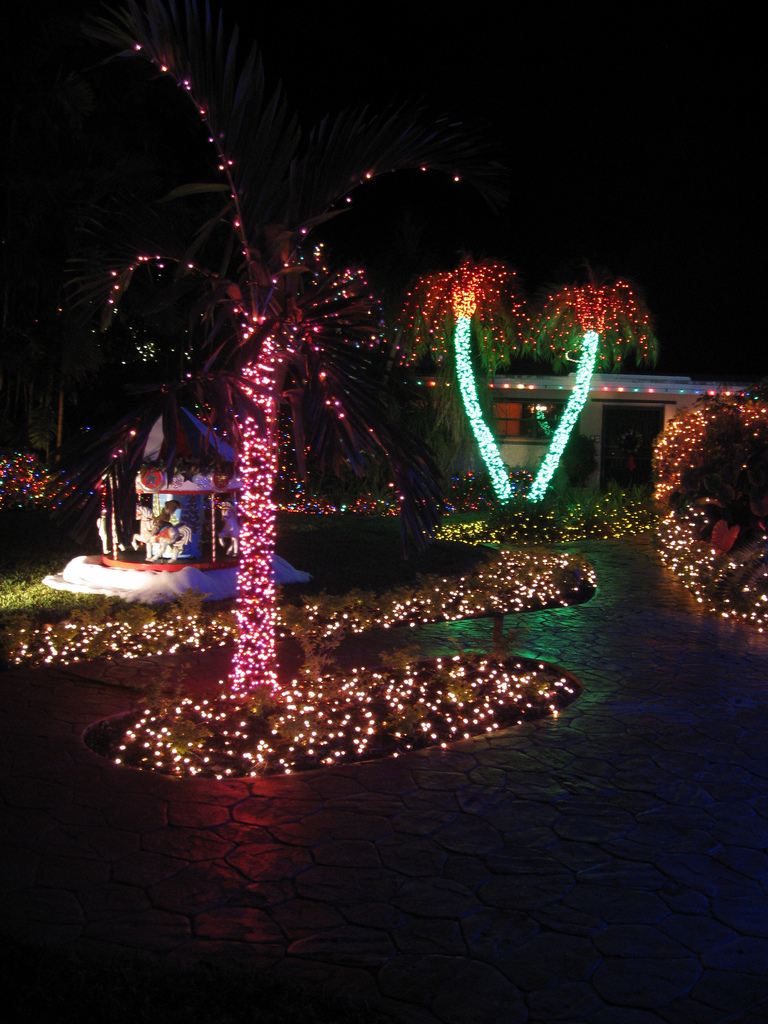 Florida Outdoor Christmas Lights Ideas Pictures