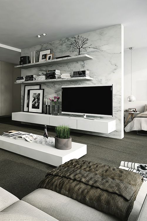 luxury-living-room-tv-wall-divider
