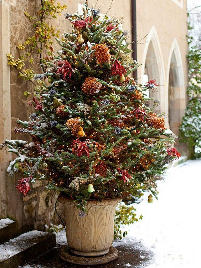 Natural Outdoor Christmas Tree
