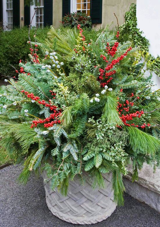 Outdoor Christmas Planter Decorating Ideas