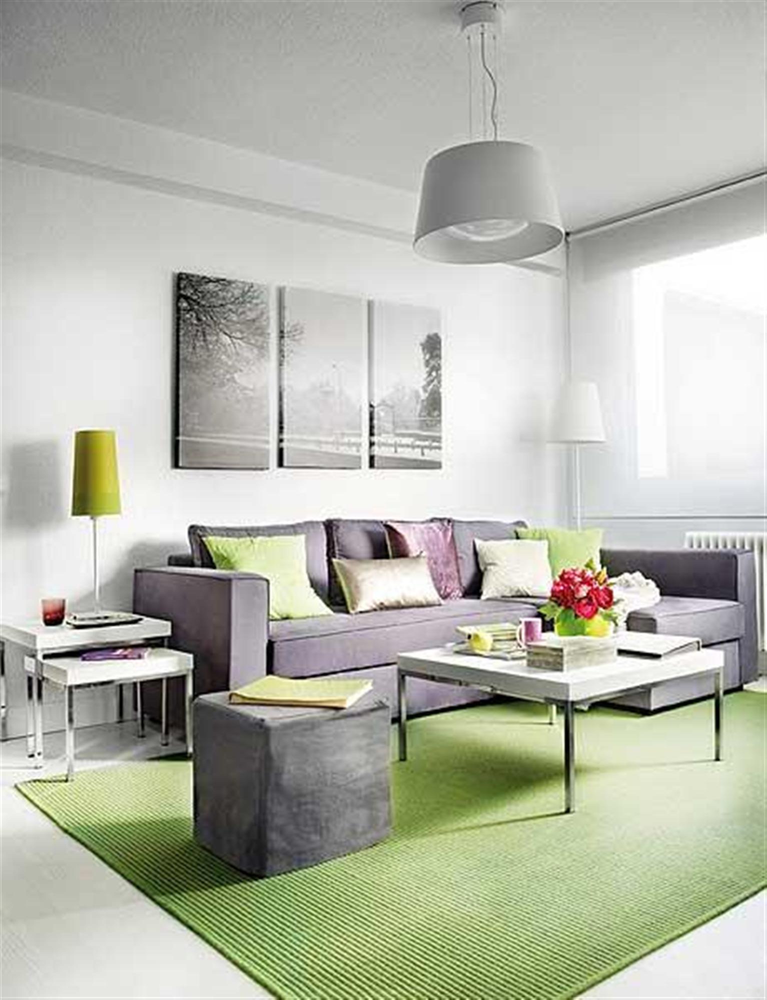 small-apartment-living-room-decor-green