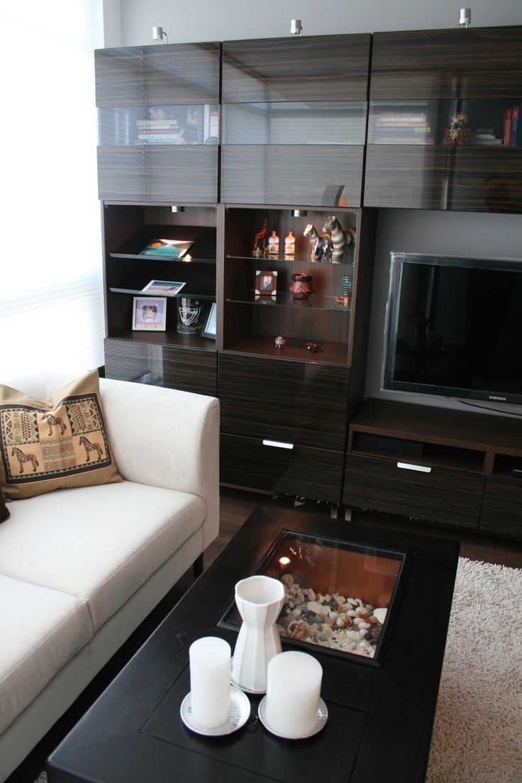 storage-for-small-condo-living-room