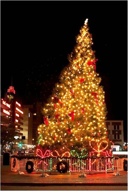 amazing-christmas-tree-lights