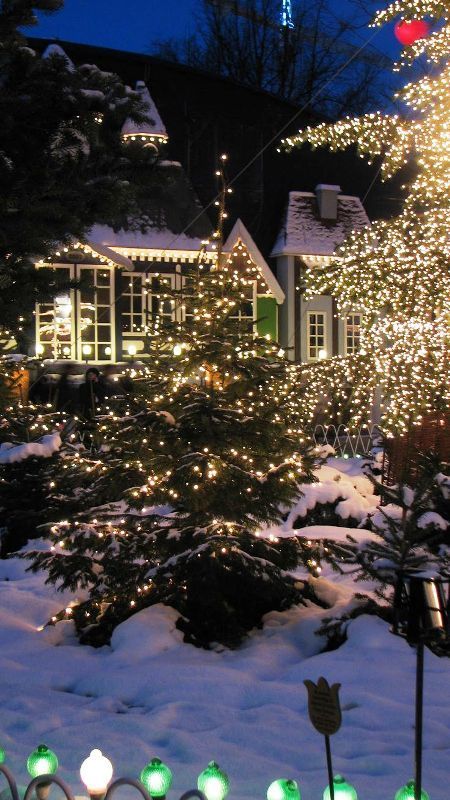 beautiful-christmas-lights-in-snow