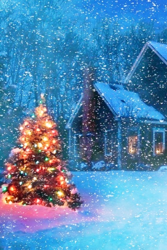 beautiful-scene-winter-christmas-tree-ideas