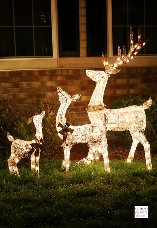 big-lots-christmas-light-decorations-frant-yards