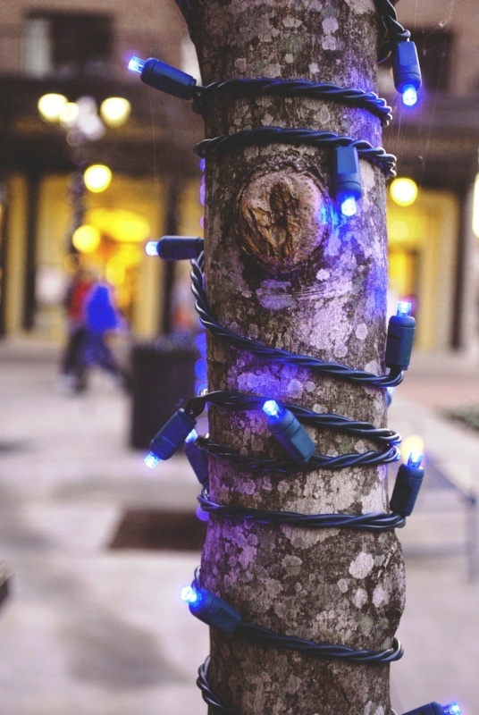 blue-christmas-lights-in-winter