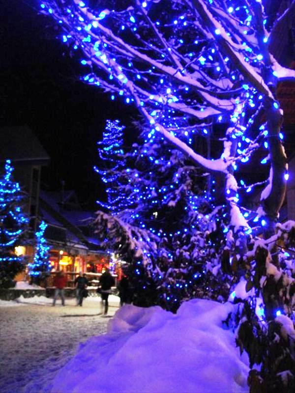 blue-christmas-lights-outdoor