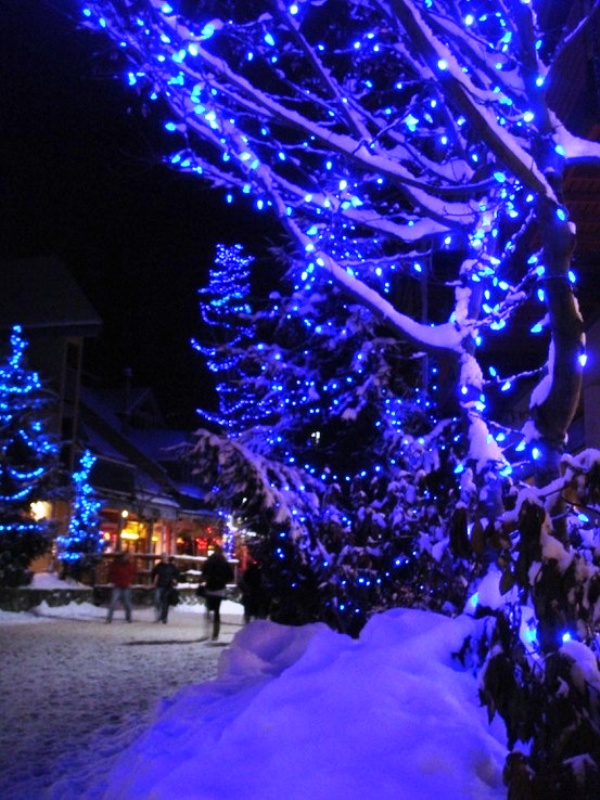blue-christmas-lights-outdoor