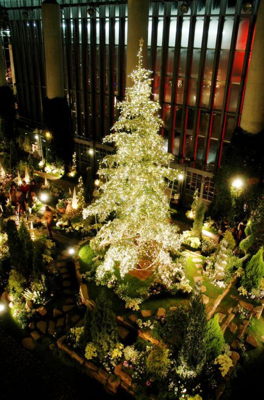 christmas-lights-tree-wonderland