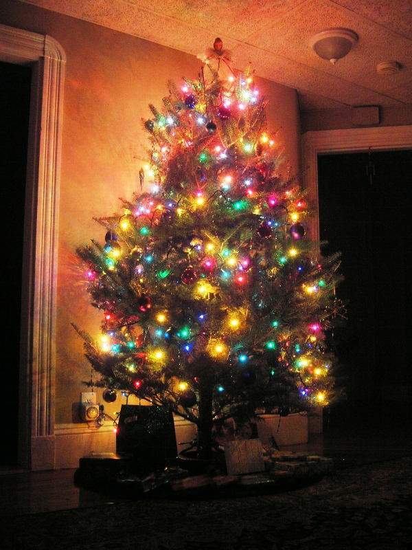 christmas-tree-lights-idea