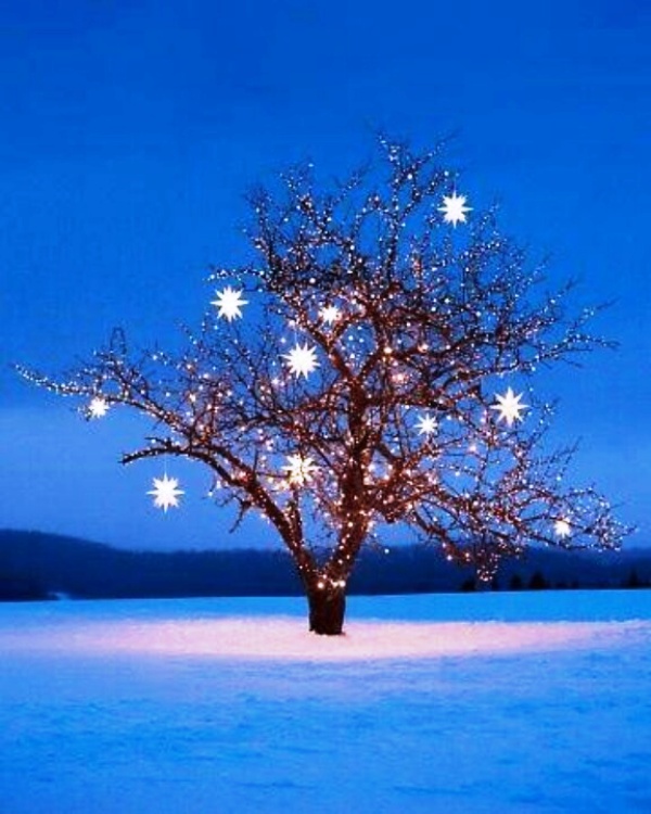 christmas-tree-star-light