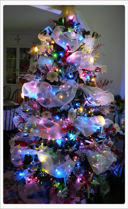 christmas-tree-with-colored-lights