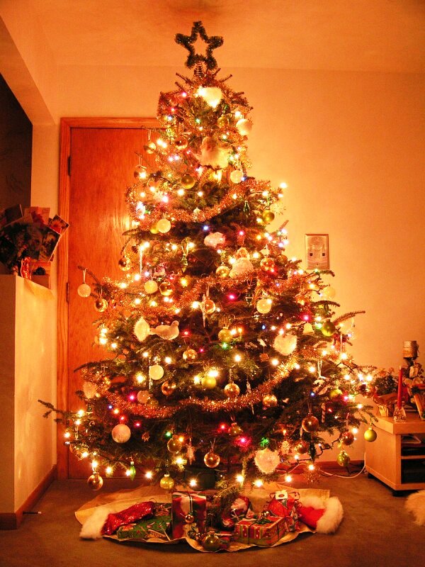 christmas-trees-fine-ideas