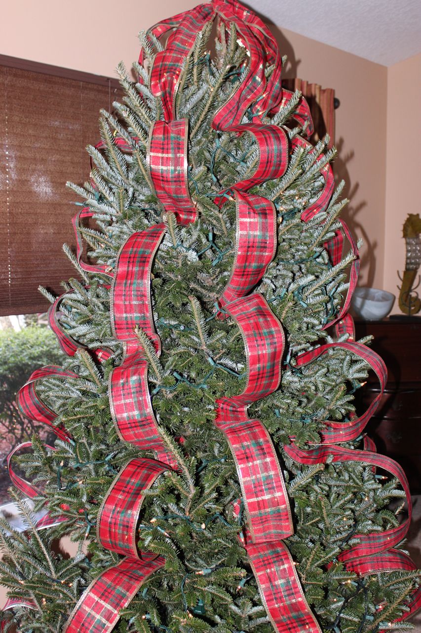 christmas-trees-with-ribbon