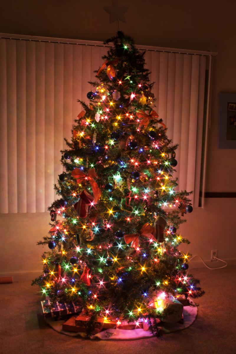decorated-christmas-trees-with-colored-lights