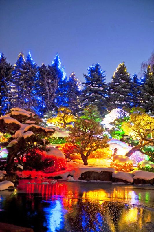 denver-botanic-gardens-christmas-lights