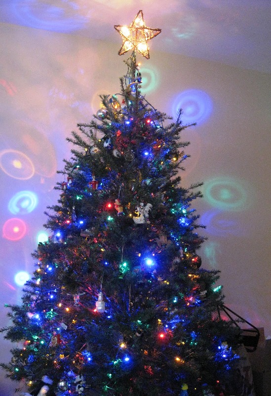 disco-christmas-tree-light