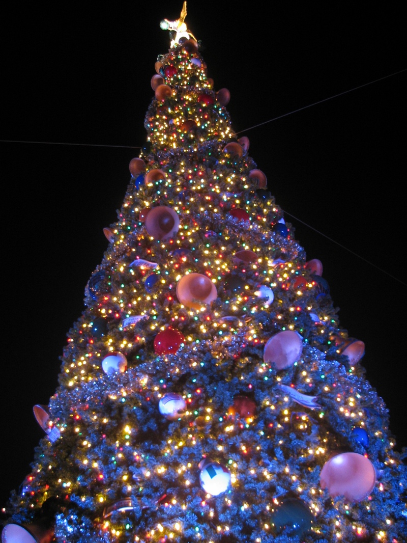 disney-world-christmas-tree
