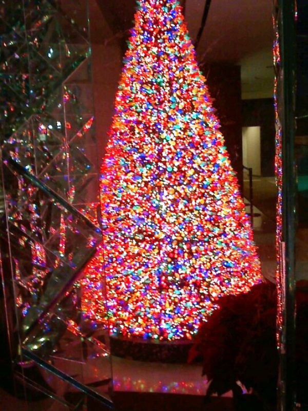 downtown-indianapolis-christmas-tree