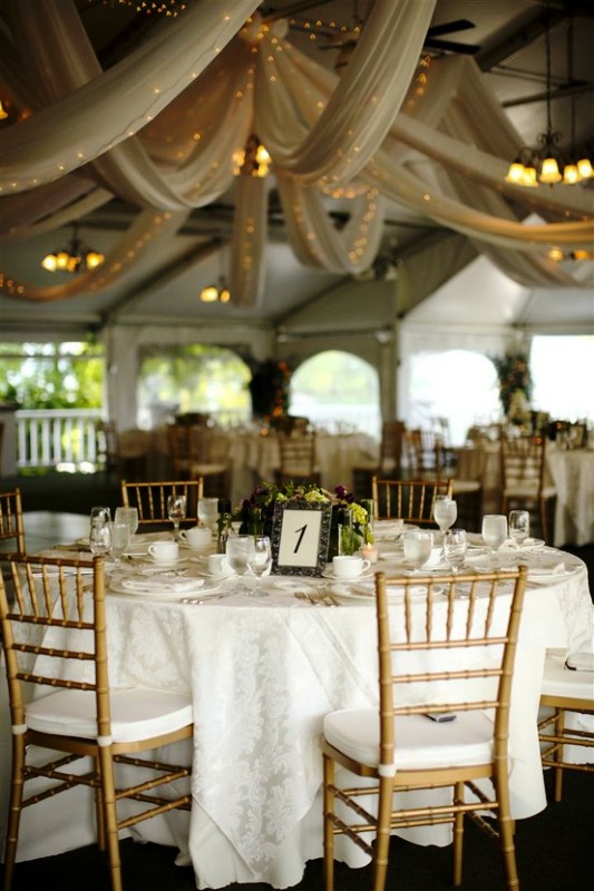 fabric-draped-for-weddings-with-lights-with-chirstmas