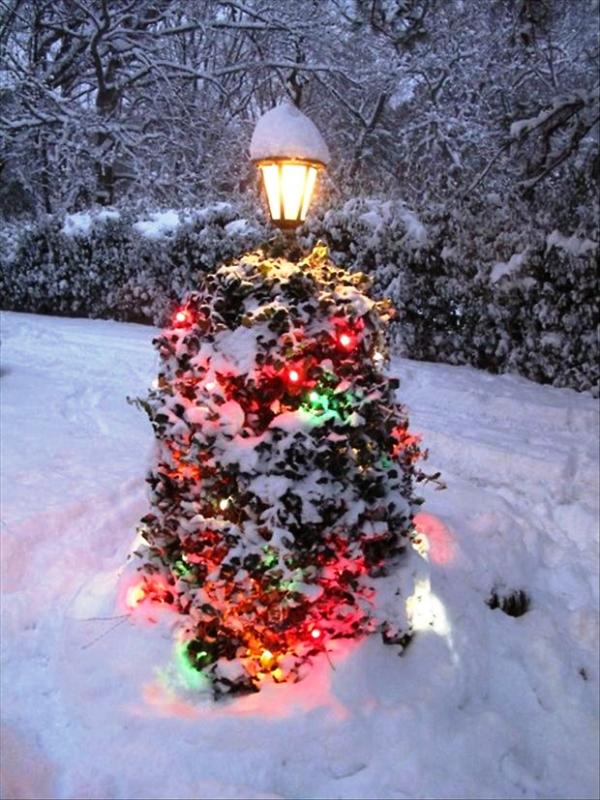 25 Christmas Lights Decoration For Front Yards - Decoration Love