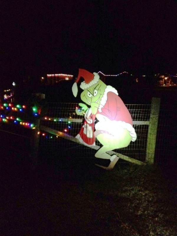 grinch-stealing-christmas-lights