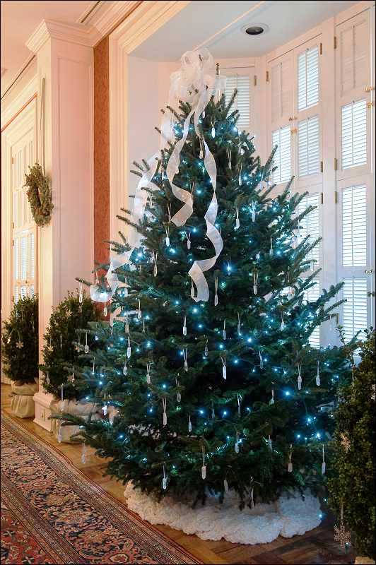 house-natural-christmas-tree